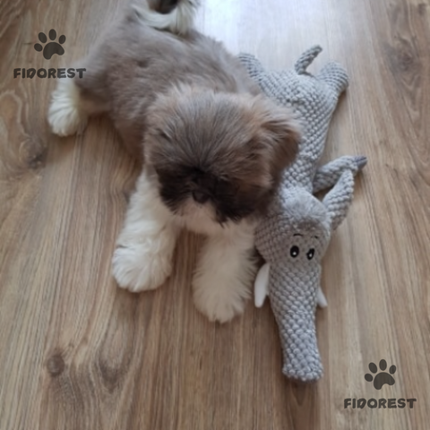 FidoRest™ | FidoPlush