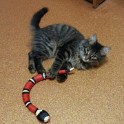 FidoRest | FidoSnake™